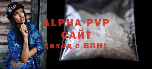 молекула духа Богданович