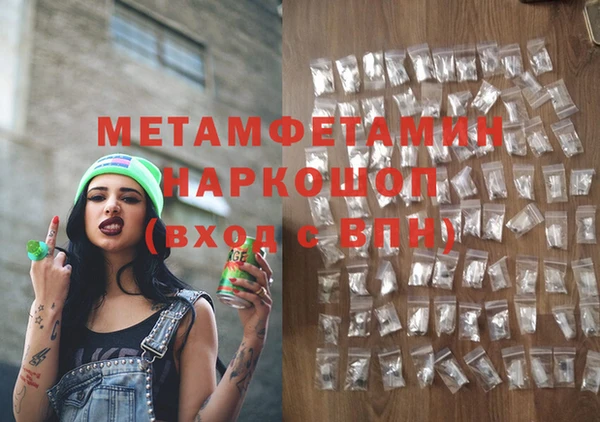 молекула духа Богданович
