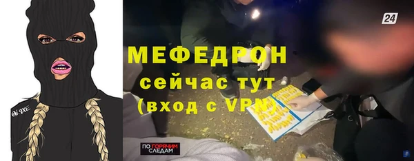 молекула духа Богданович