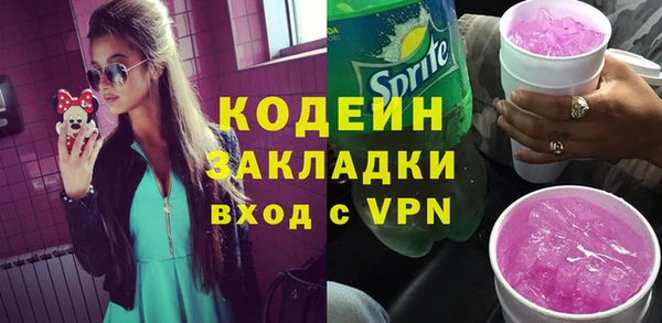 молекула духа Богданович